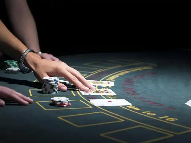 Dashboard pasar MotoGP di platform cemara 777